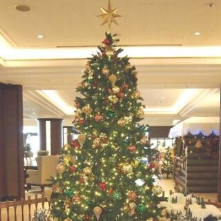 千葉県・舞浜「シェラトン・グランデ」、クリスマスモードに