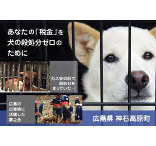 ふるさと納税で、犬の殺処分をゼロに! - 広島県神石高原町