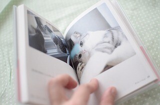 一眼レフ初心者が猫撮影に挑む! (21) 自分が撮影した写真でオリジナル写真集を作ってみよう