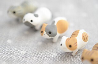 超大型デブ猫 VS 小指サイズのミニ猫! 話題のミニ猫で戦いを挑んでみた