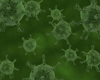 冬場の食中毒を招くノロウイルスの特徴とは - 10個のウイルスで感染も