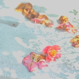 人気の"ゆるかわ写真家"が「初心者から始められるフォトレタッチ」を指南!