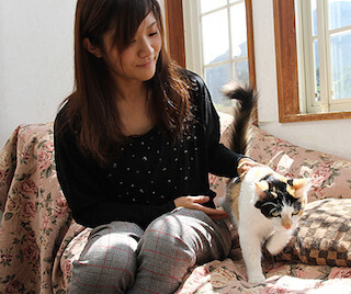 富士サファリパーク"ネコの館"で、猫を指名して触れ合えるイベント開催