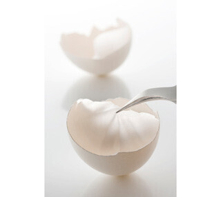 卵殻膜の肝機能改善効果をまとめた論文が、NPG運営の電子ジャーナルに掲載