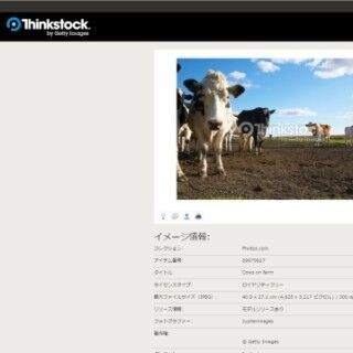 牧場の牛たちを撮影した写真素材を期間限定で無料配布 -Thinkstock