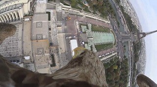 これはスゴイ! 空を飛ぶワシの目線映像を見られる貴重な企画展