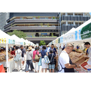 東京都・勝どきでオーガニック野菜を集めた「太陽のマルシェ」開催