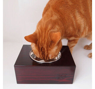 食器台があれば、猫が無理な体勢でご飯を食べずにすむ!