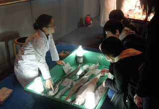 東京都・葛西臨海水族園で、貴重な深海生物を見る「深海ラボ」が開催