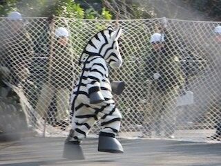 ユキヒョウが逃げた!? 東京都・多摩動物公園が対策訓練を実施
