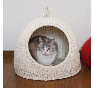 部屋がとびきりオシャレになる猫用のラタン製ドームベッド