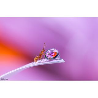 浅井美紀写真展「幸せのしずく～World of Water Drops～」