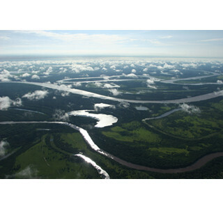 東京都・国立科学博物館で約1億年前の化石を展示する"大アマゾン展"開催