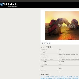 インドの砂漠で撮影したラクダの写真を期間限定で無料配布 -Thinkstock