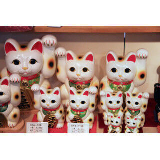 猫好きも知らない東京隠れ猫スポット&quot;招福民芸館&quot;は見た目も中もスゴかった