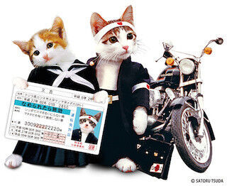 「なめ猫免許証」が無料で作れる「なめ猫免許センター」公開