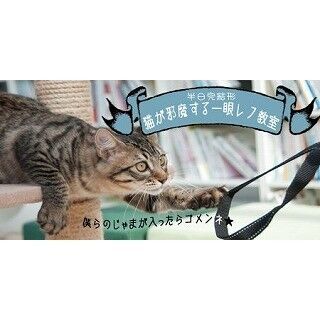 「猫が邪魔する一眼レフ教室」が東京都・大塚で開催