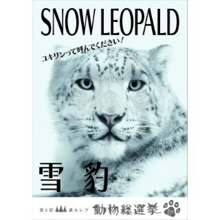 どの動物が一番かわいい? 鼻セレブの総選挙が開催中!!
