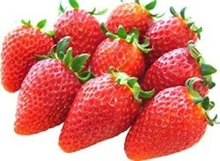 東京都・銀座で茨城の苺「いばらキッス」をバレンタイン特別仕様にて販売