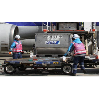 ANA、ピンクをまとった女性スタッフたちによる「ひなまつりフライト」実施