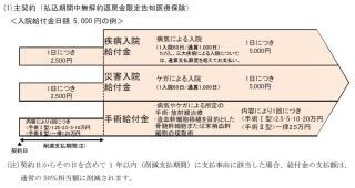 損保ジャパン日本興亜ひまわり生命、限定告知型医療保険の新商品を発売