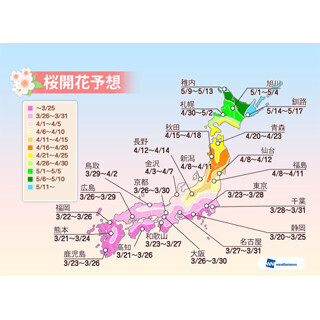 全国の桜開花予想発表 - 入学式に満開となる地方は?