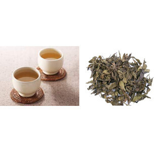 花粉症の諸症状緩和には、徳島・阿波晩茶由来の乳酸菌が有効と判明