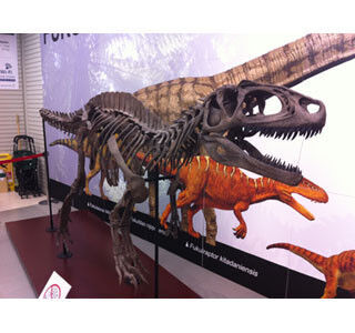 北陸新幹線開業記念 - 新宿に&quot;福井の恐竜&quot;がやってくる! 化石発掘体験も