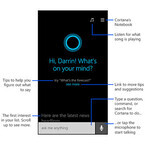 米Microsoftが「Cortana」をAndroidとiOSに提供を計画、その狙いとは