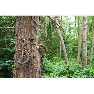 廃屋が森に! 家に砂漠が!! 自然が文明に勝った瞬間9選