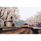 春旅行の人気急上昇エリア - 1番人気は石川県! 2位は北陸じゃなくて…