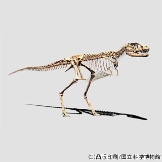 凸版印刷など、未発見のティラノサウルスの幼体の全身骨格をデジタル復元