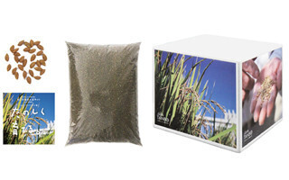 「ほぼ日刊イトイ新聞」が自宅で福島のお米栽培ができる"田んぼキット"発売