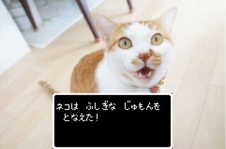 もしも登場人物が全員猫のRPGがあったらこうなる