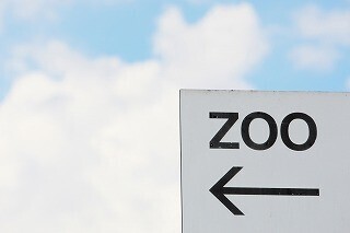 東京都・多摩動物公園で人間の「園長」を展示