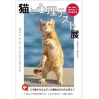 東京都・神楽坂で、猫写真満載の「猫と心理テスト展」開催