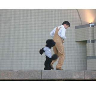 東京都・代々木公園でワンコの祭典「わんわんカーニバル」が開催!