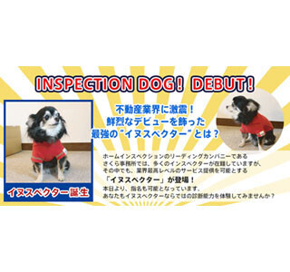 犬が住宅の不具合を見抜く専門職としてデビュー