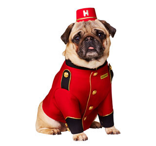 パグのコンシェルジュがホテルでおもてなししてくれるサービスが開始