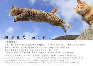 東京都渋谷区で、猫写真展「ねこ専」が開催