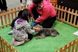 インターペット2015でペットフードメーカーがキッズ向け企画を実施