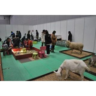 千葉県・幕張メッセで「Pet博」開催! 犬猫とのふれあいや鳥のダンスも