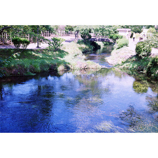 地元の”最強”絶景教えて! (5) 富士山の麓に湧く水は純度が違う! 世界遺産の湧水池はとてつもなく美しい