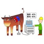 肉の霜降り具合 牛が生きたままで計測できる装置 - 産総研が開発