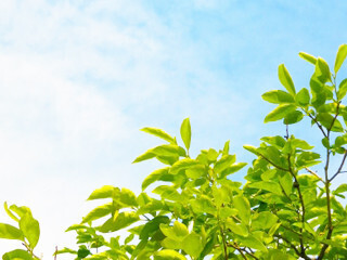 今日は何の日 - 衣替え (ころもがえ)