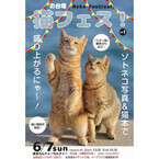東京都で猫好きのための「お台場猫フェス! 」開催 - 飼い猫同伴OK!