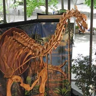 東京・丸の内に欧州最大の恐竜「トゥリアサウルス」が出現!