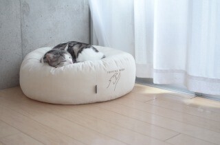 ふわふわの猫用巨大マシュマロクッションを使ってみた