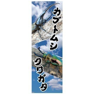 見て触れる感動を味わえる! 「世界のかぶとむし・くわがた展」開催