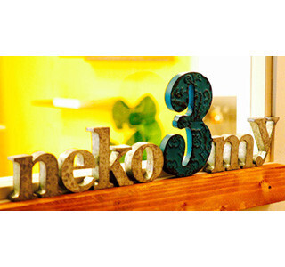 東京都・浅草にフォトスタジオ併設の猫カフェが誕生